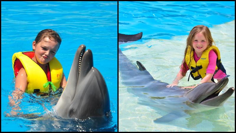 Alanya Swim With Dolphins