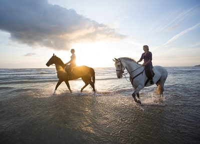 Antalya Horse Riding
